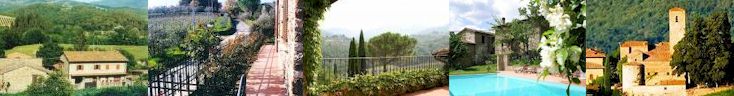 Chianti classico