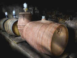Terracotta Artenova fermentation barriques